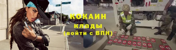 не бодяженный Арсеньев