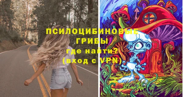 дживик Армянск