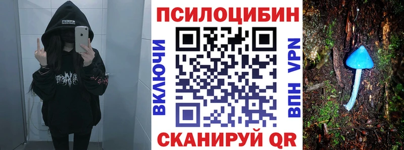 где найти   hydra ONION  Псилоцибиновые грибы ЛСД  Тимашёвск 